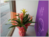 長野市の整体院です。 長野市の整体院です。