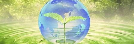 自然治癒力を最大限に発揮 自然治癒力を最大限に発揮